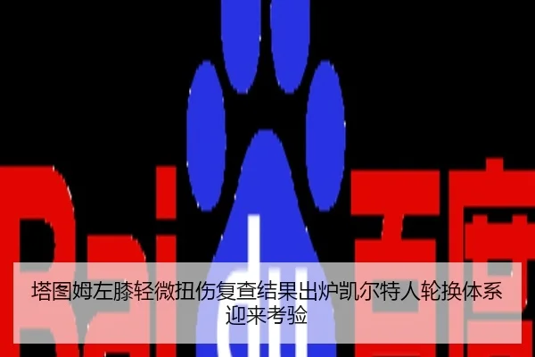 塔图姆左膝轻微扭伤复查结果出炉凯尔特人轮换体系迎来考验