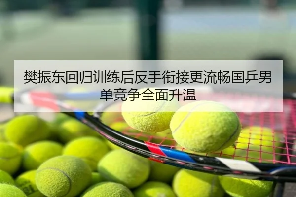 樊振东回归训练后反手衔接更流畅国乒男单竞争全面升温